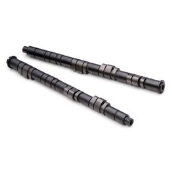 Skunk2 Racing 305-05-5205