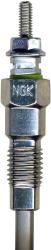 NGK 1065