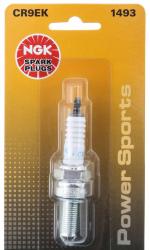 NGK 1493