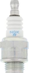 NGK 1029