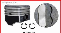 ENGINETECH P3095
