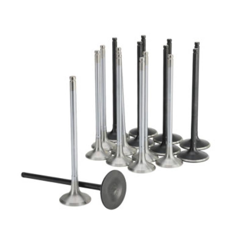 Skunk2 Racing 310-05-2000