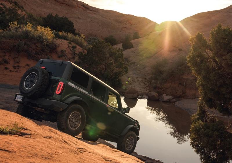 Ford Racing M-1007K-P1785BRN