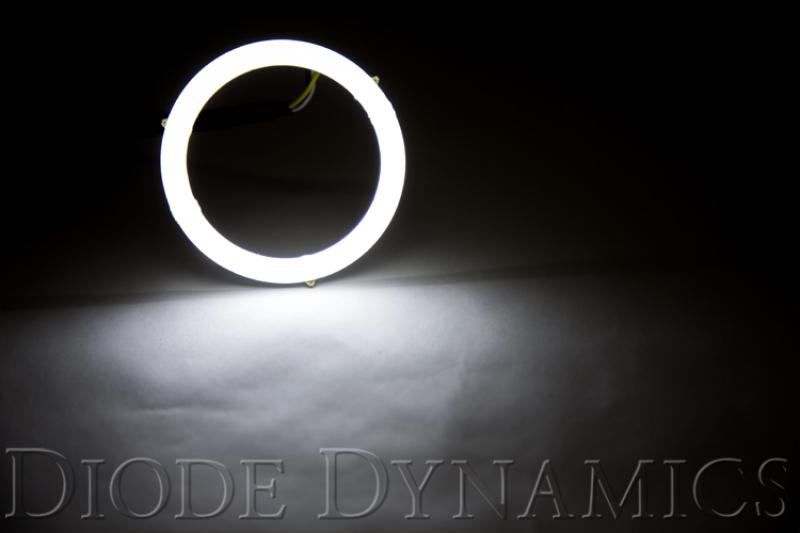 Diode Dynamics DD2061