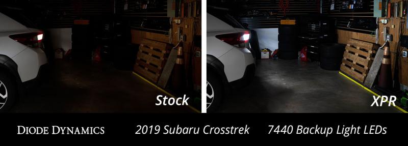 Diode Dynamics DD0386P