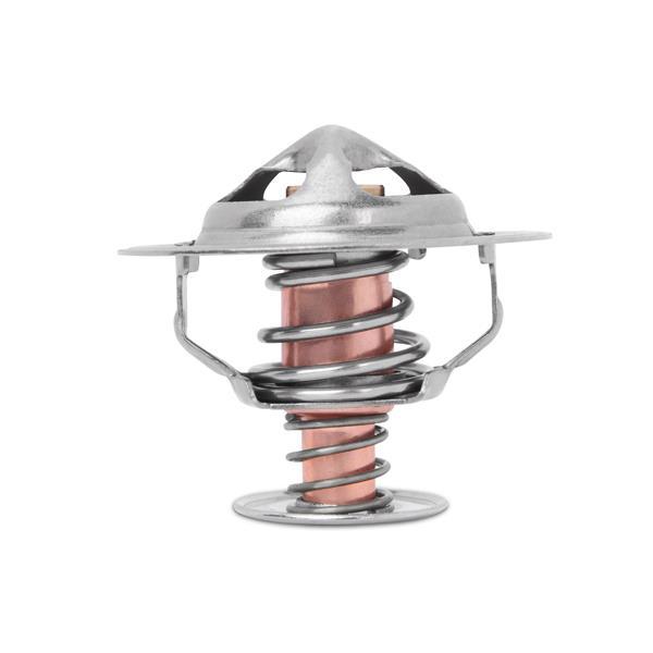 Mishimoto MMTS-EVO-10L