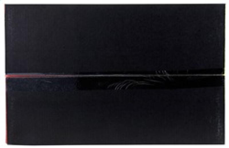 AEM Induction 21-8114DP