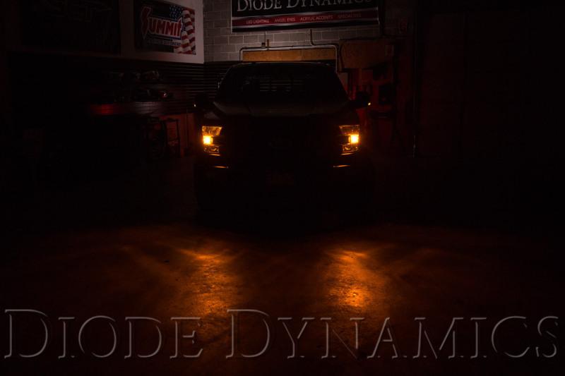 Diode Dynamics DD0462P