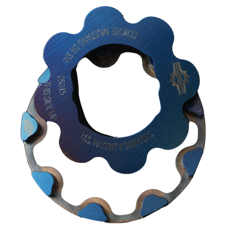 Boundary CM-OPG-MUSTANG-DR