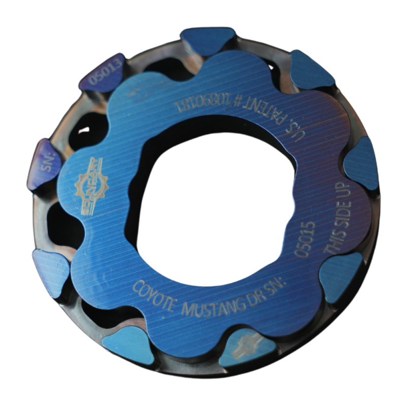 Boundary CM-OPG-MUSTANG-DR