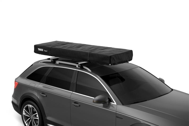 Thule 901250