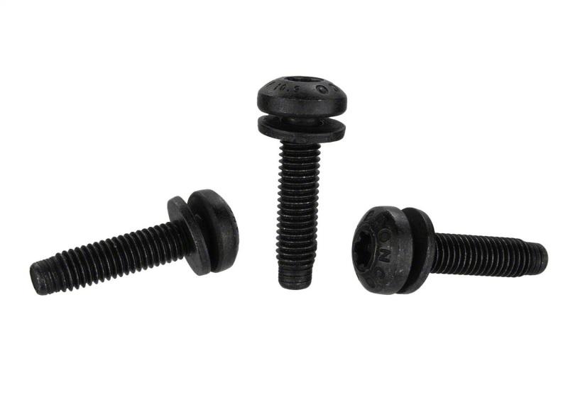 Ford Racing M-19008-BTDG