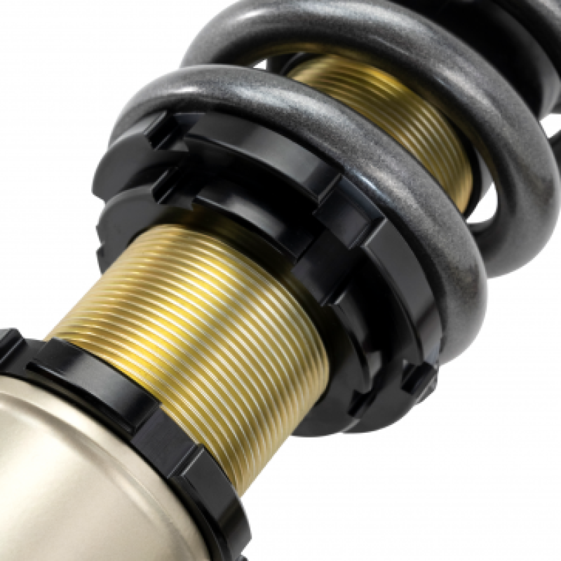 Skunk2 Racing 541-05-5005