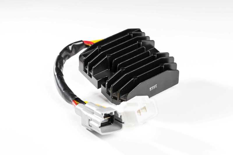 Ricks Motorsport Electrics 10-250H