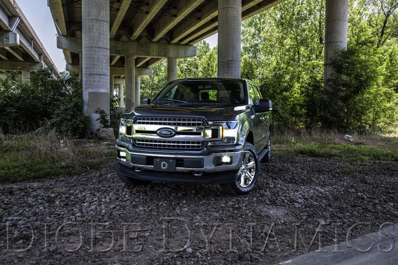 Diode Dynamics DD0462P