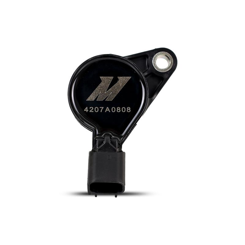 Mishimoto MMIG-F150-01