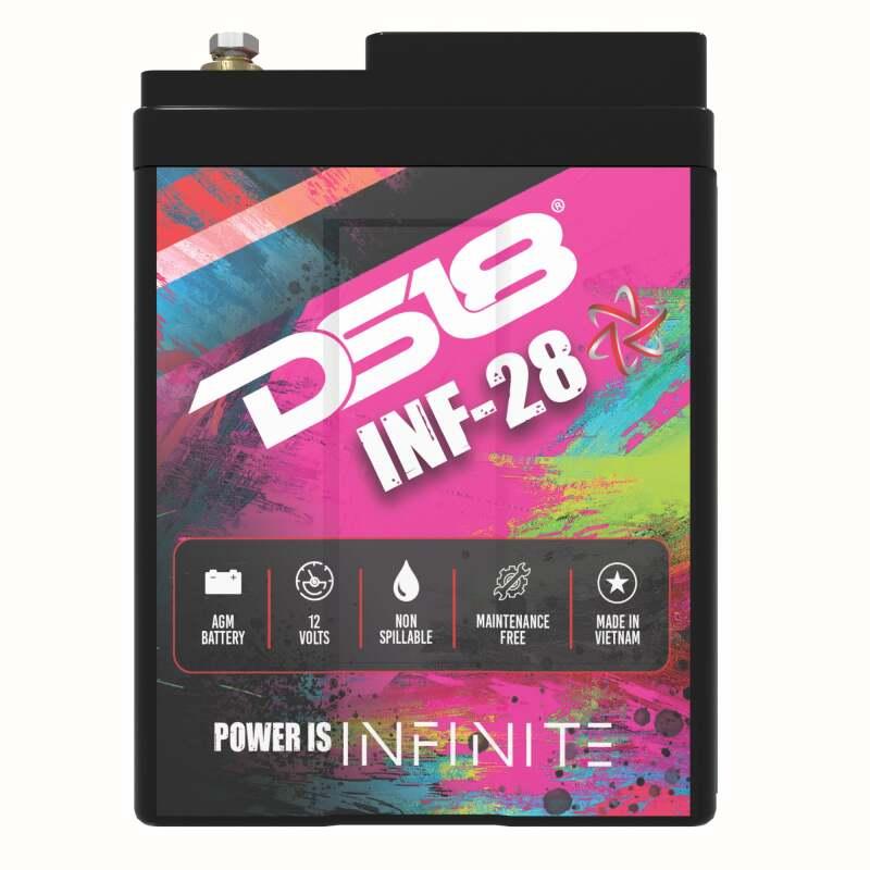 DS18 INF-28