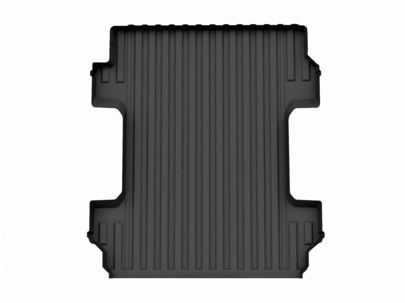 WeatherTech 38006IM