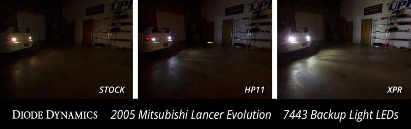 Diode Dynamics DD0113P