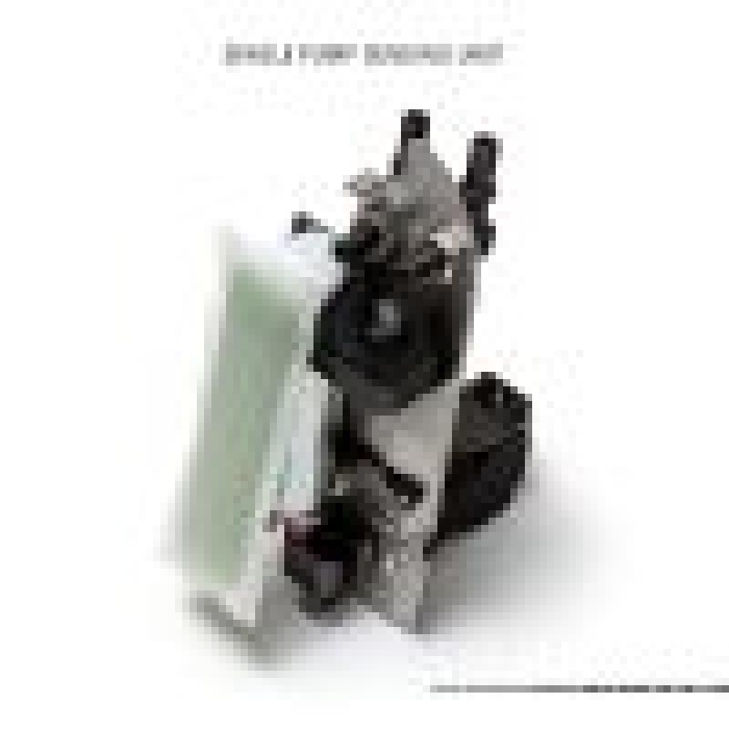 AMS ALP.07.07.0010-2