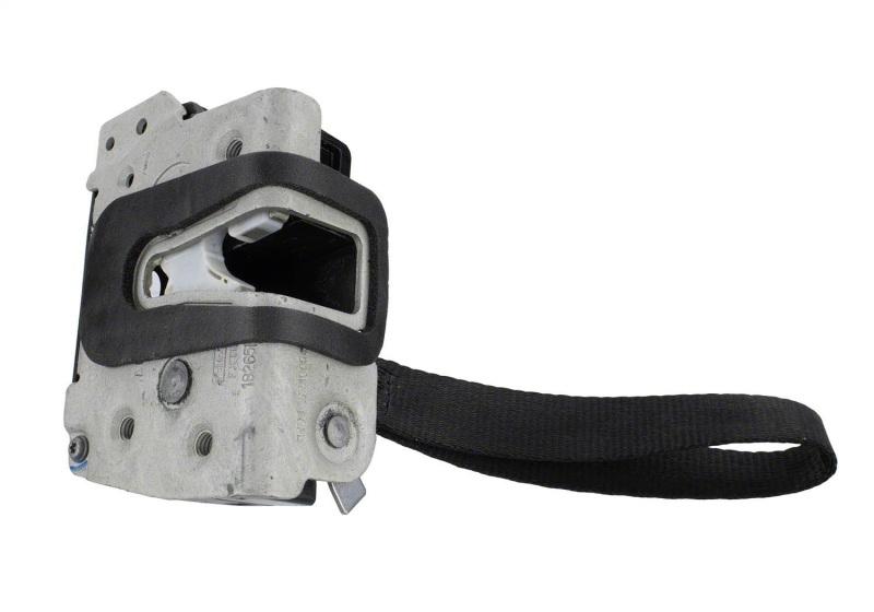 Ford Racing M-19008-BTDR