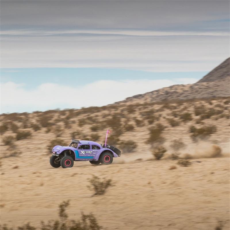 Rigid Industries 36117-SHREDDY