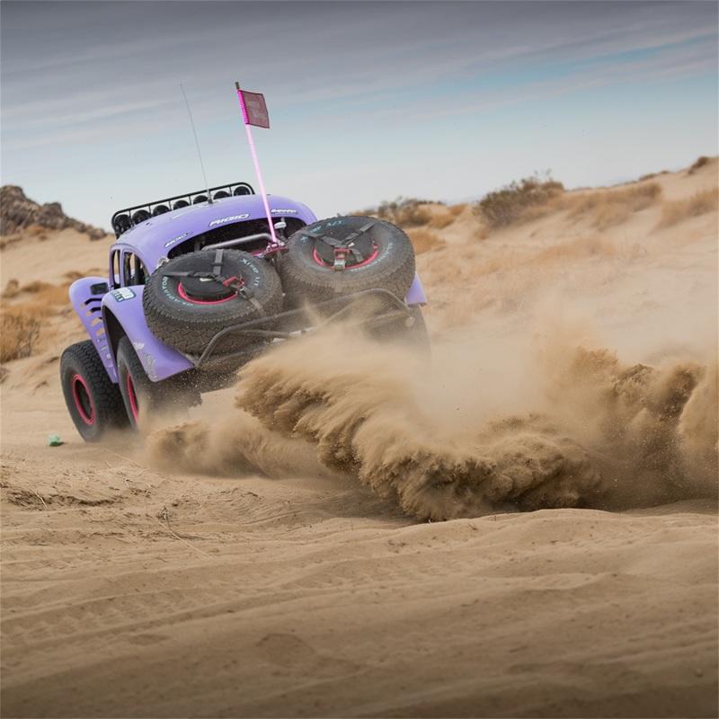 Rigid Industries 36117-SHREDDY