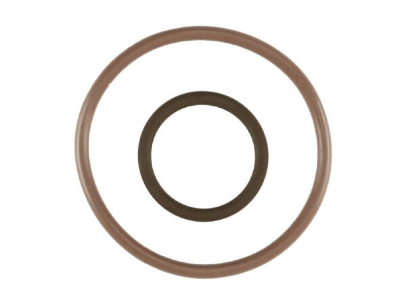 Turbosmart TS-0223-3010