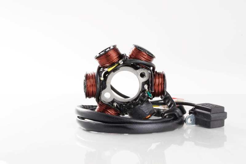 Ricks Motorsport Electrics 21-061