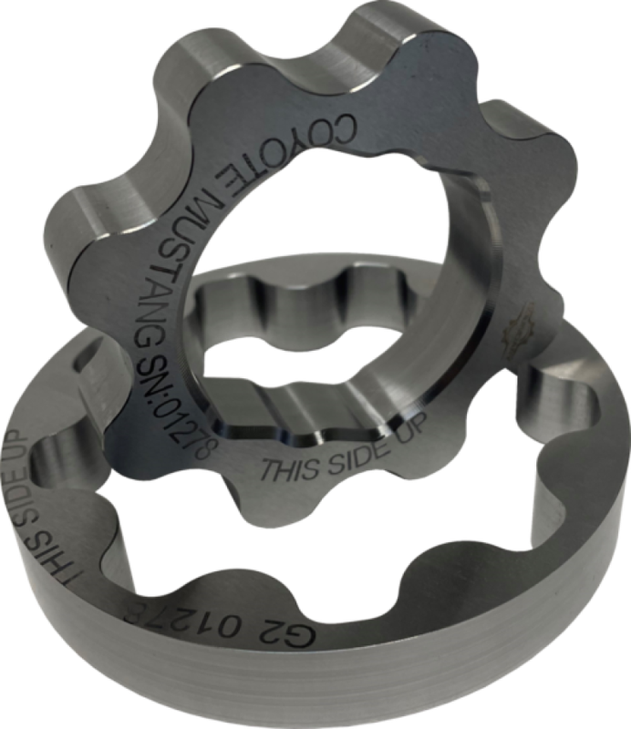 Boundary CM-OPG-MUSTANG