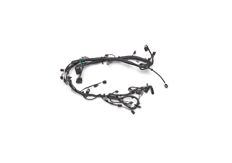 Ford Racing M-12000-M50