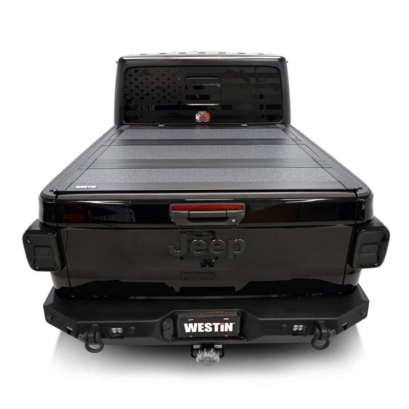 Westin 19-44165