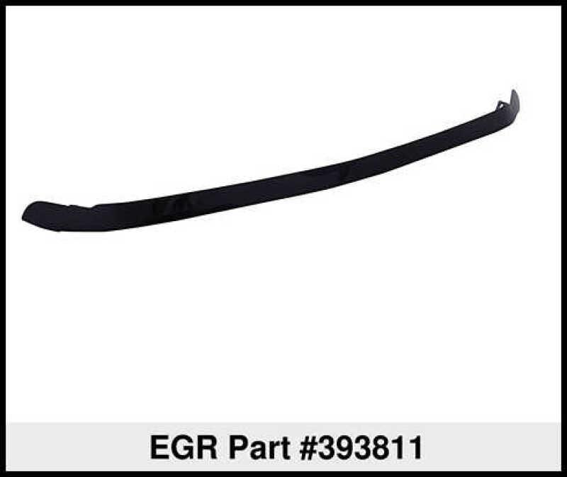 EGR 393811