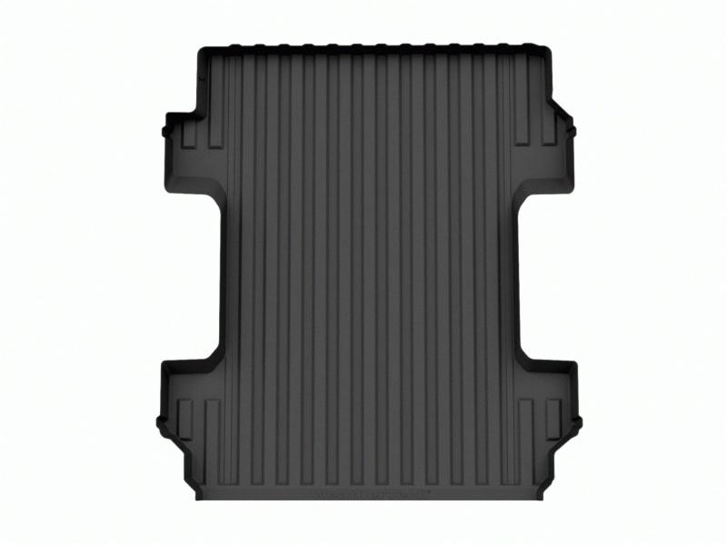 WeatherTech 38006IM