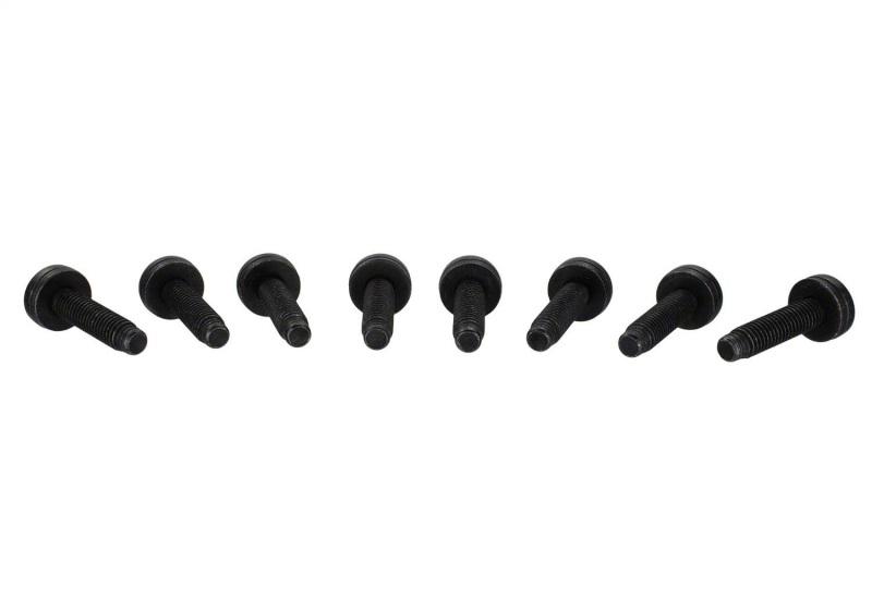 Ford Racing M-19008-BTDG