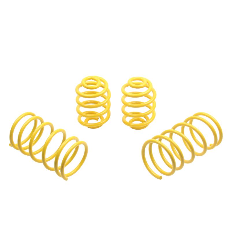 ST Suspensions 65202