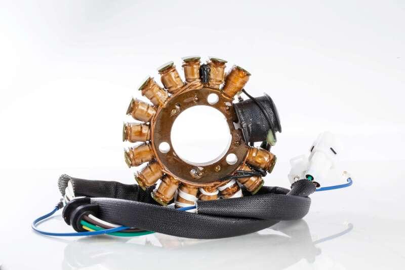 Ricks Motorsport Electrics 21-931