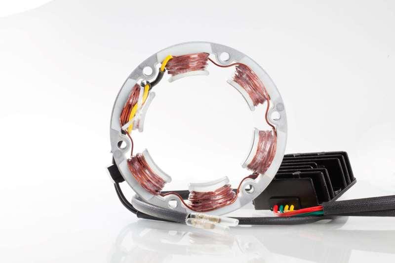 Ricks Motorsport Electrics 99-101