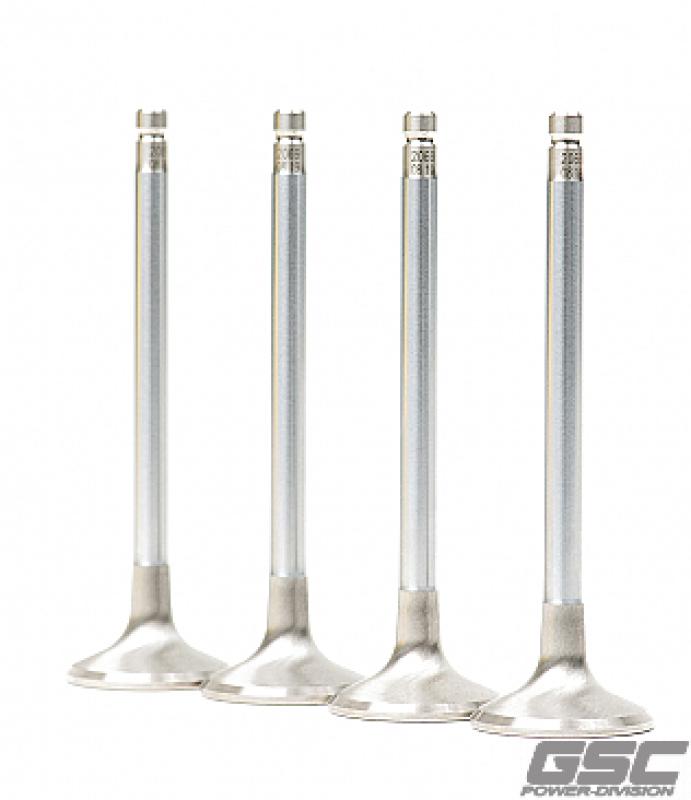 GSC Power Division 2069-01