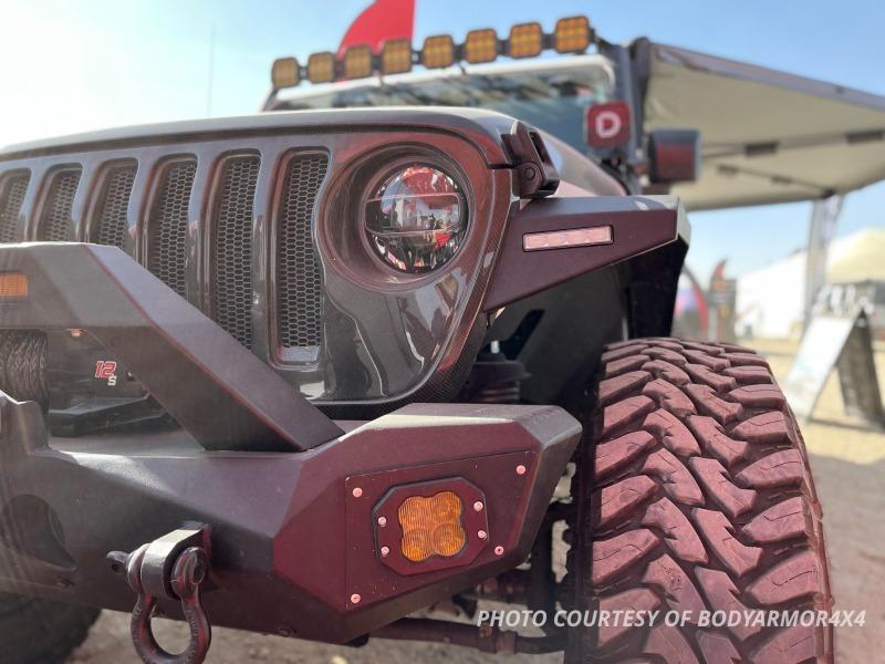 Diode Dynamics DD6925P