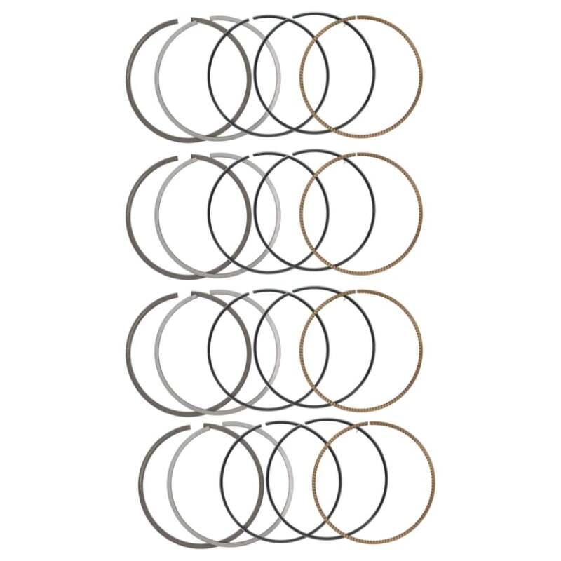 Manley Performance 461000dt-4