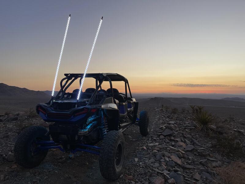 Whip It SB-RGBBT-131