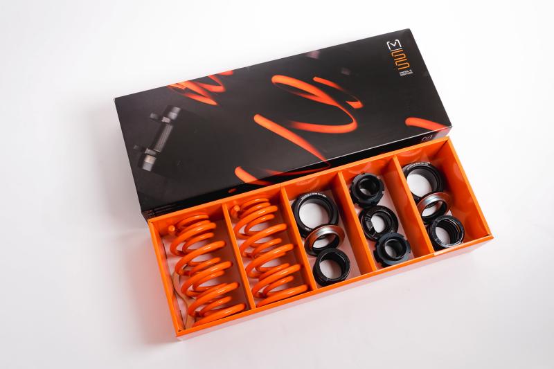 MSS Suspension 05AMER253SU