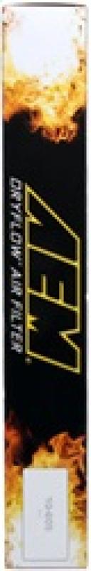 AEM Induction 28-50040