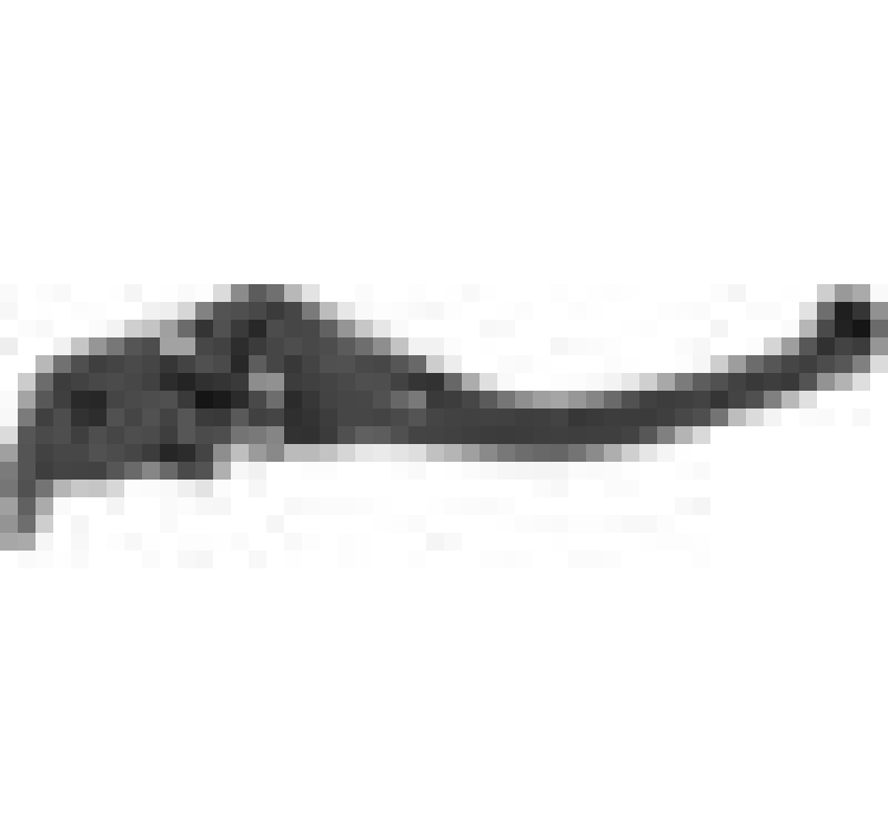 Vortex Racing LVB193