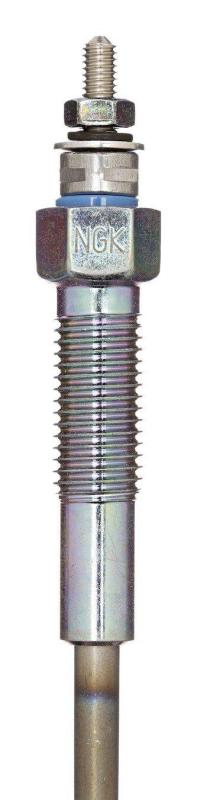 NGK 1229