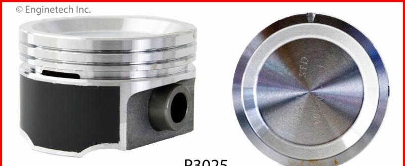 ENGINETECH P3025